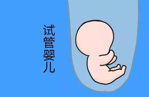 苏主任医师